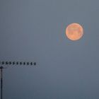 La Luna e l'antenna