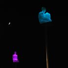 La Luna e le Statue - The Moon and the Statues