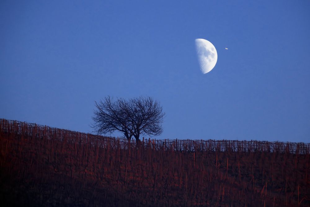 La luna ed io (1)