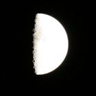 la luna nera di taviani