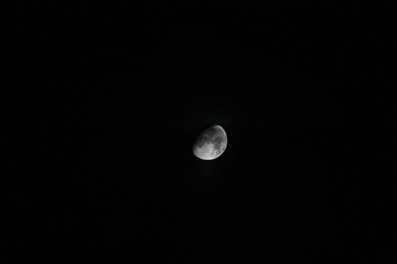 La luna: rischiara la notte..