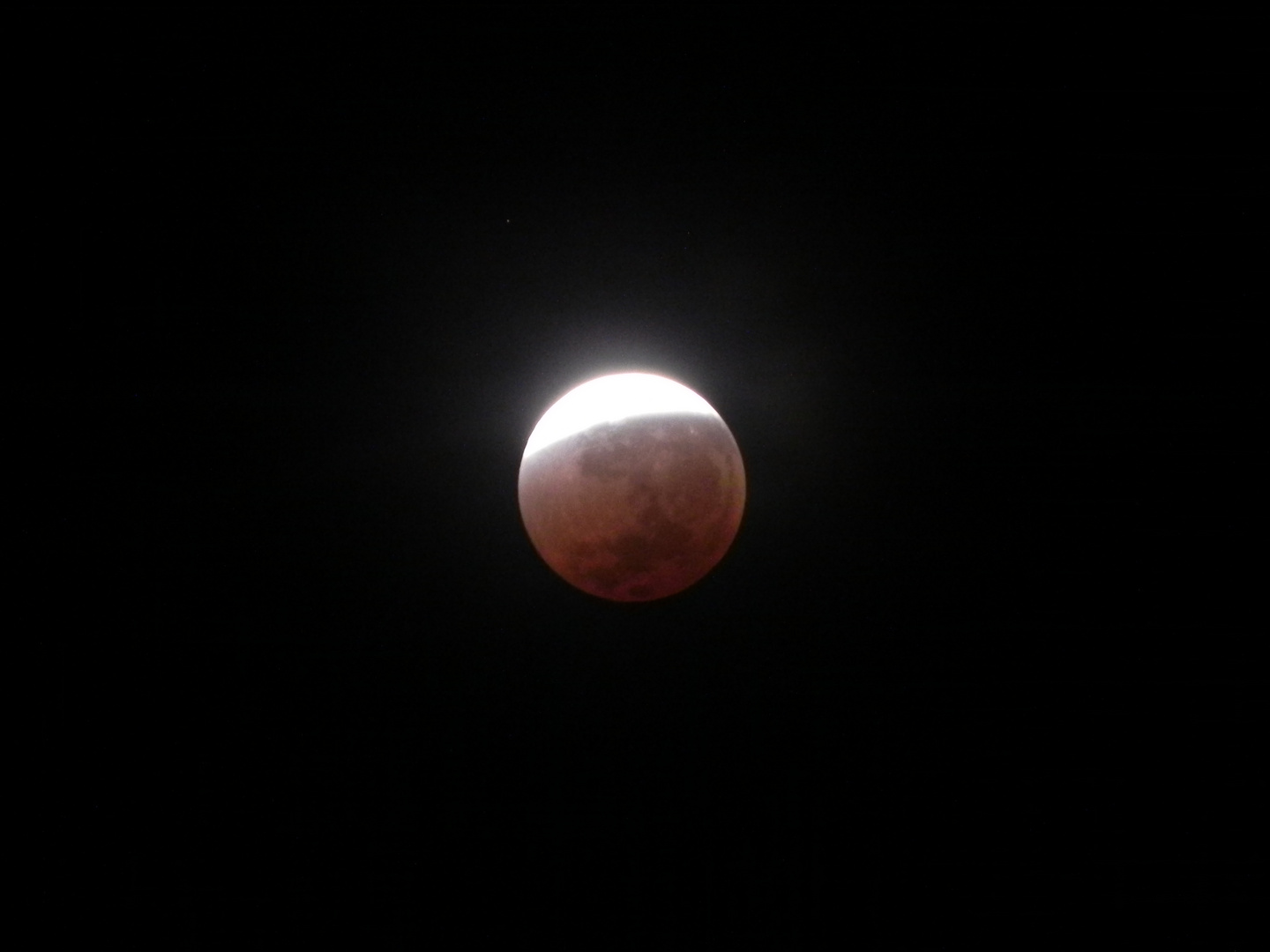 LA LUNA ROJA,ECLIPSE LUNAR DEL 14/4