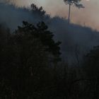 La luna sorge sul fumo del bosco in fiamme - Moon Rising through the smoke of a Forest Fire