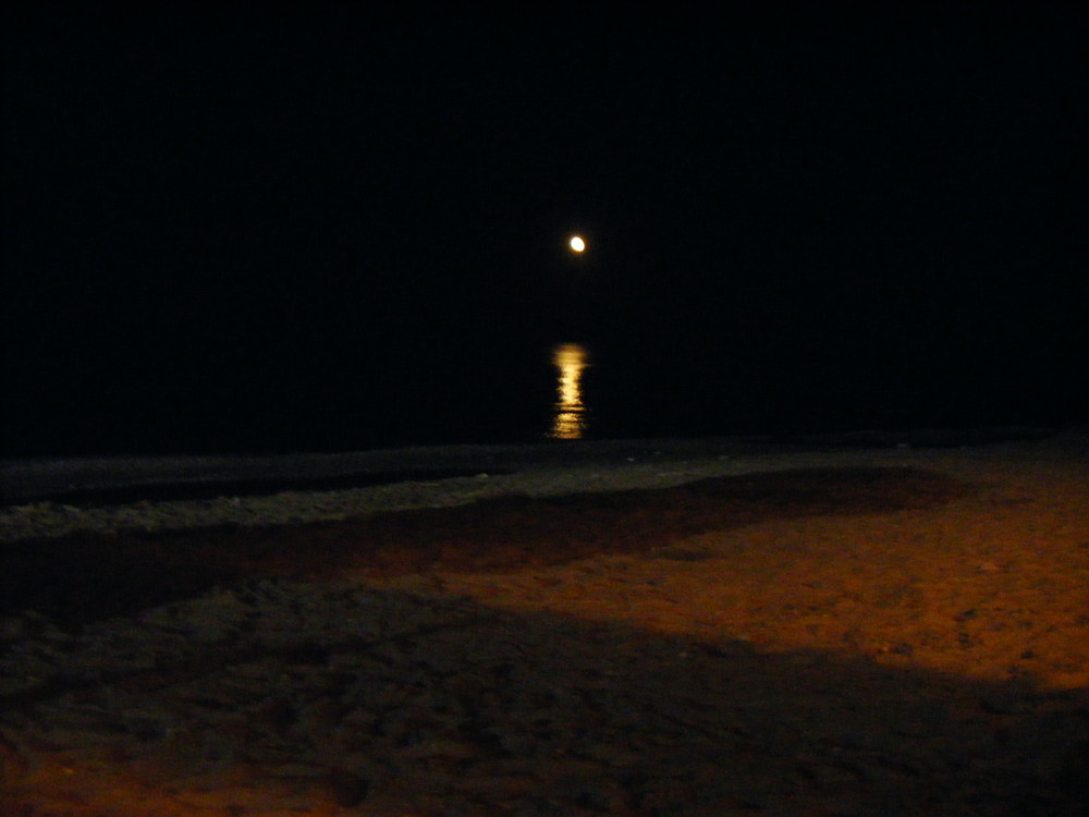 La luna sta nascendo dal mare