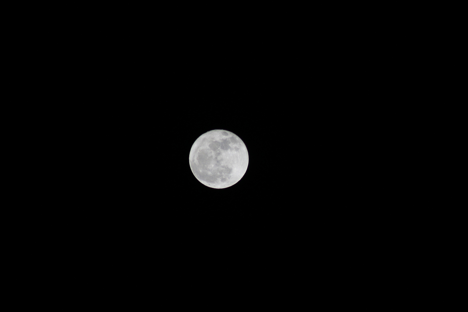 La luna/The Moon