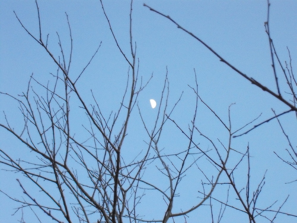 La lune comme jamais vu