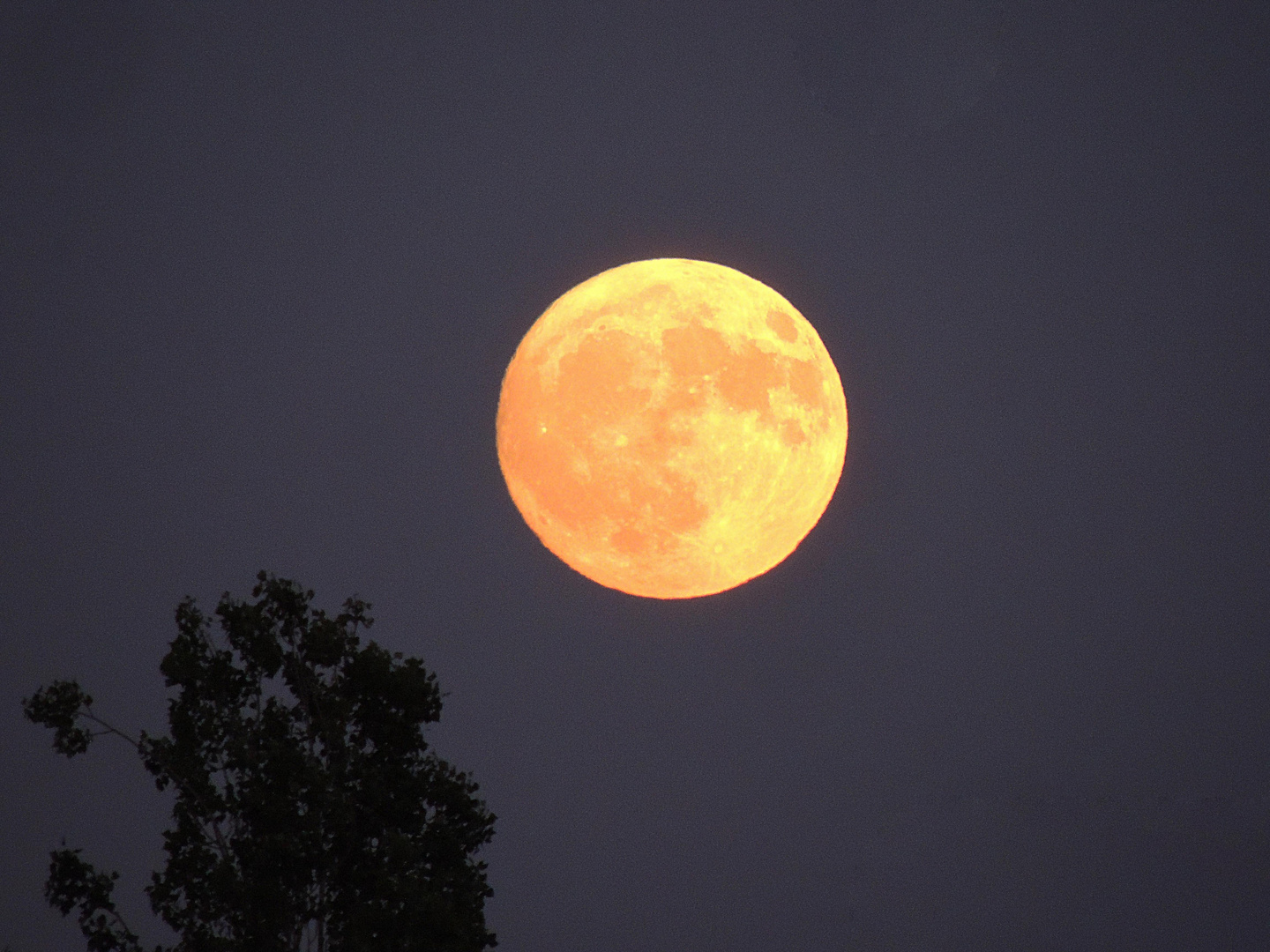  La lune du Cerf