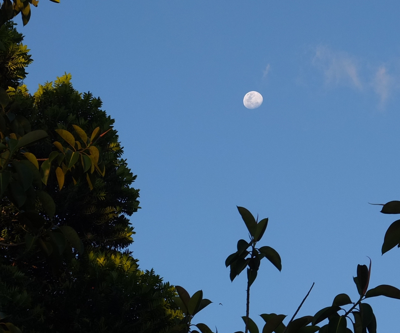 La lune en fin de journée