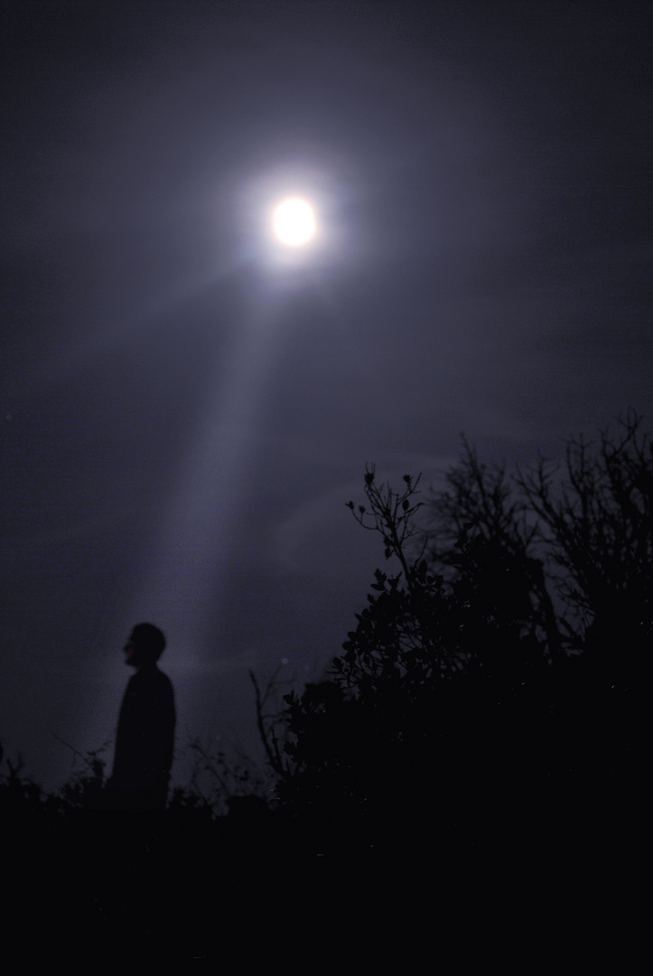 La Lune et l'Homme