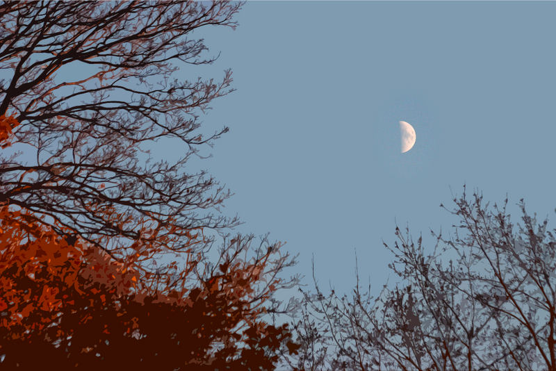 La Lune Ne Cache Rien