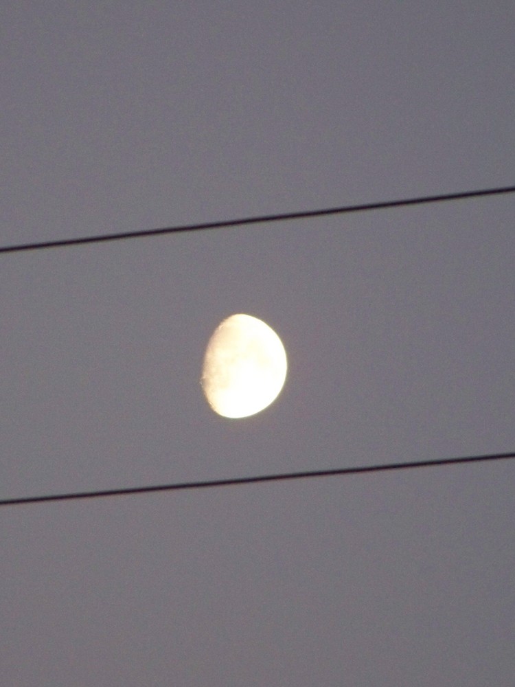 la lune ne tient qu'entre deux fils de emidav 