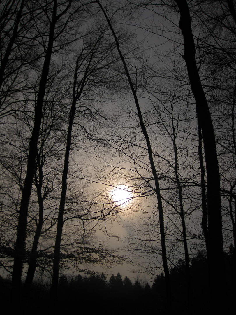 la lune ou le soleil ?