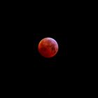 La lune rouge ce matin à 6h30