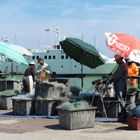 La lunga giornata del pescatore ( da Pazienza e Passione)