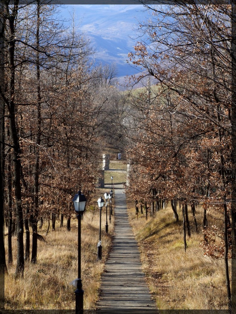 La lunga strada della vita...