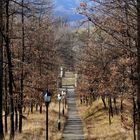 La lunga strada della vita...