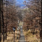 La lunga strada della vita...