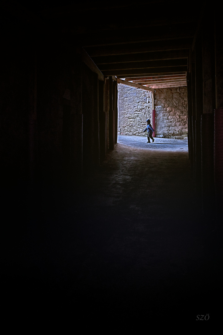 La luz al final del tunel 2