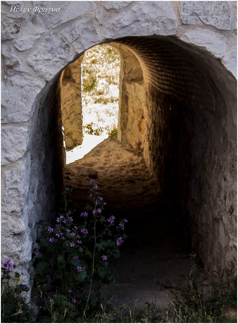 LA LUZ AL FINAL DEL TUNEL