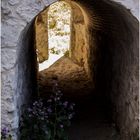 LA LUZ AL FINAL DEL TUNEL