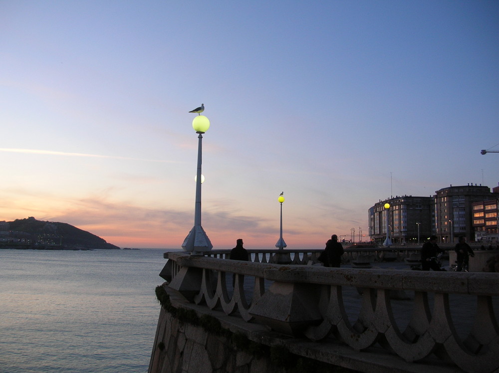 la luz de las gaviotas