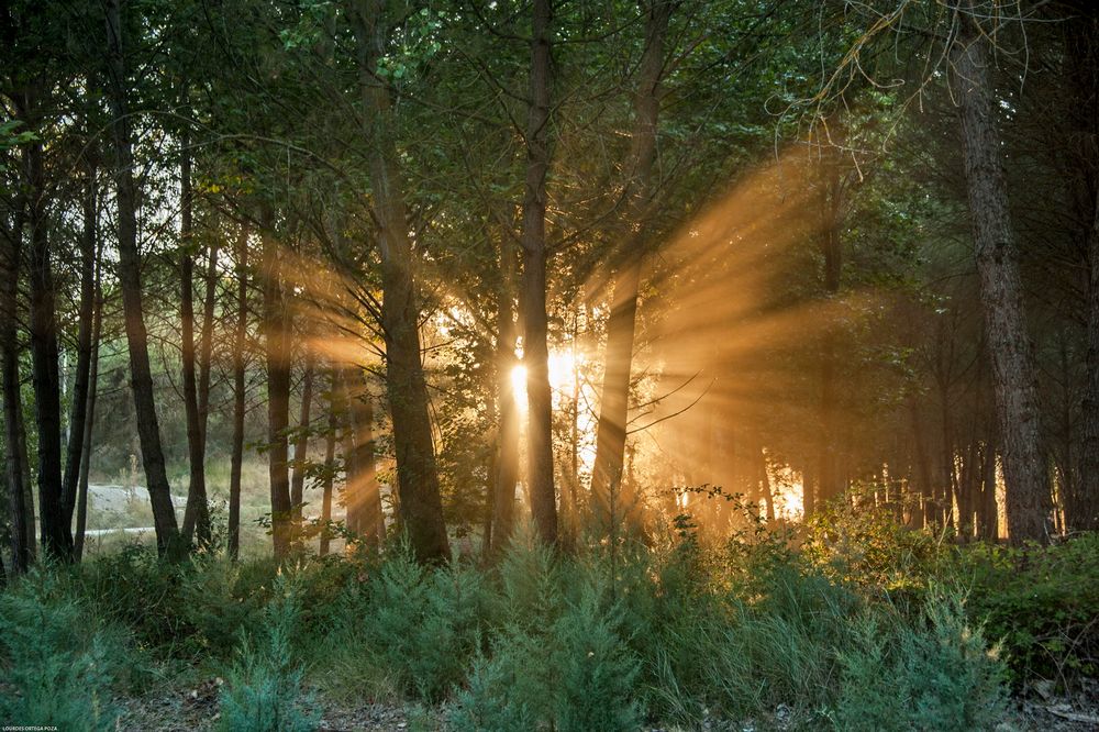 La luz del atardecer