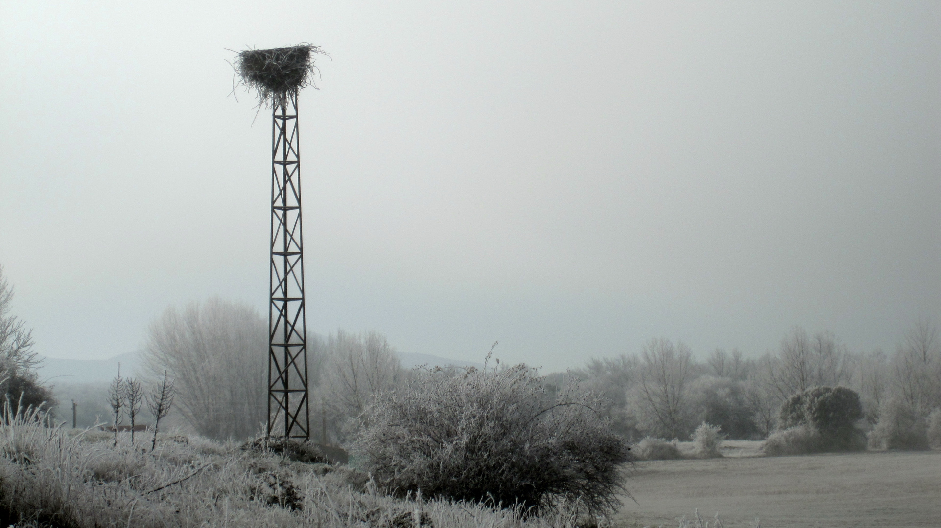 LA MAÑANA DE INVIERNO