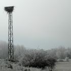 LA MAÑANA DE INVIERNO