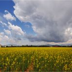 La Madonna dei campi - zanica 2