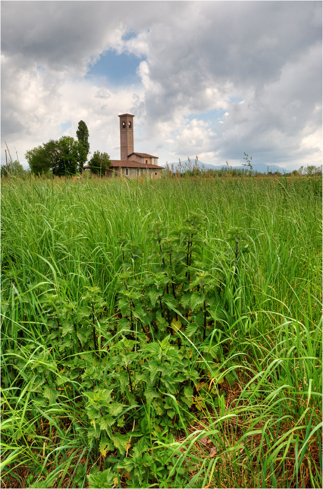 La Madonna dei campi...................e i campi.