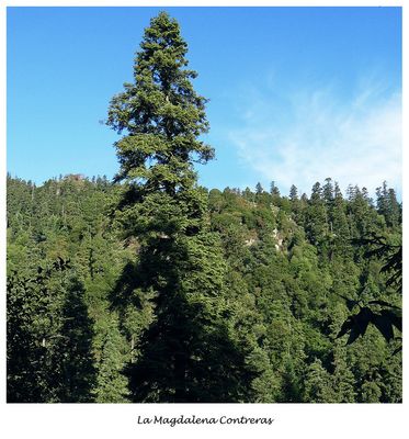 La Magdalena Contreras