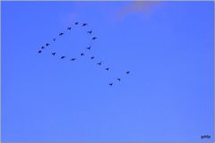 La magia de la fotografia