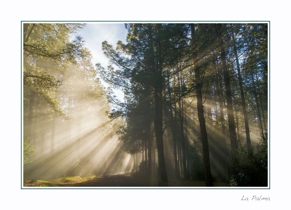 La magia de la luz