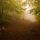 La magia de la luz (Montseny)