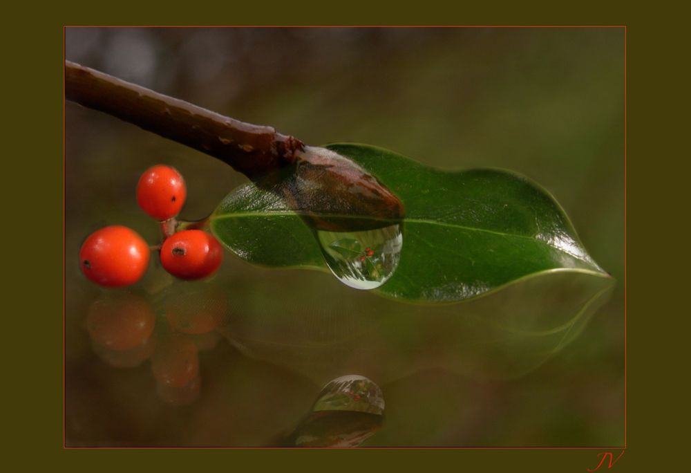 La Magia de Navidad.....