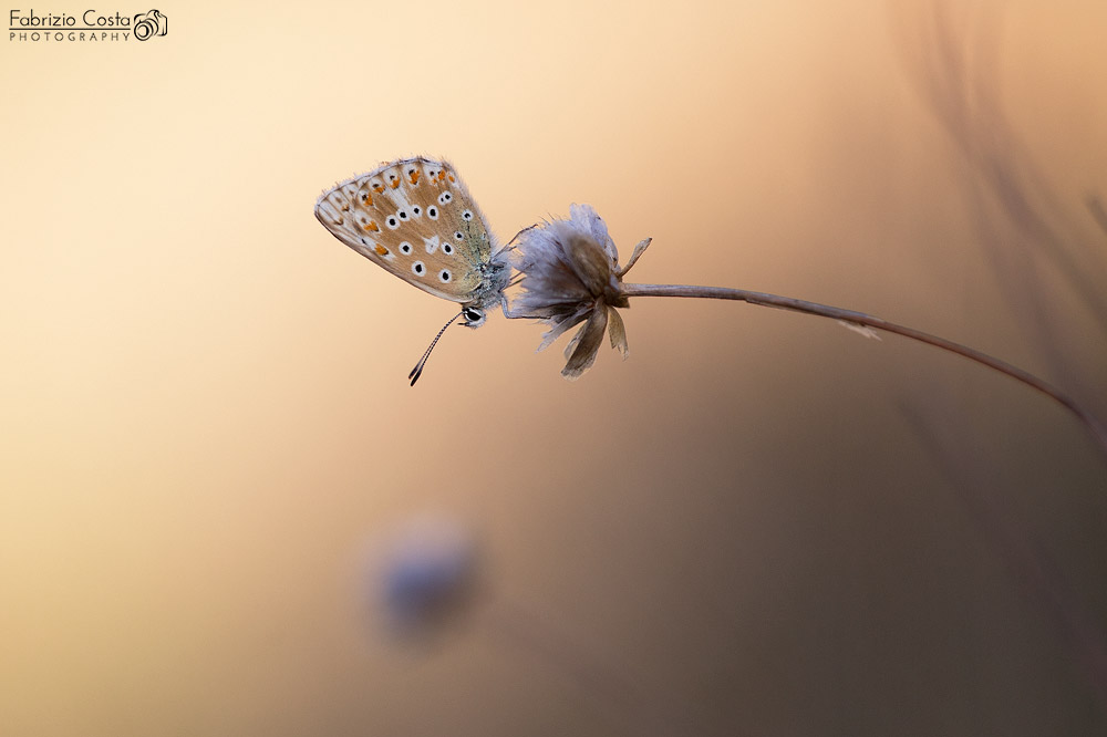 La magia della luce