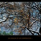 La magia di un abbraccio....