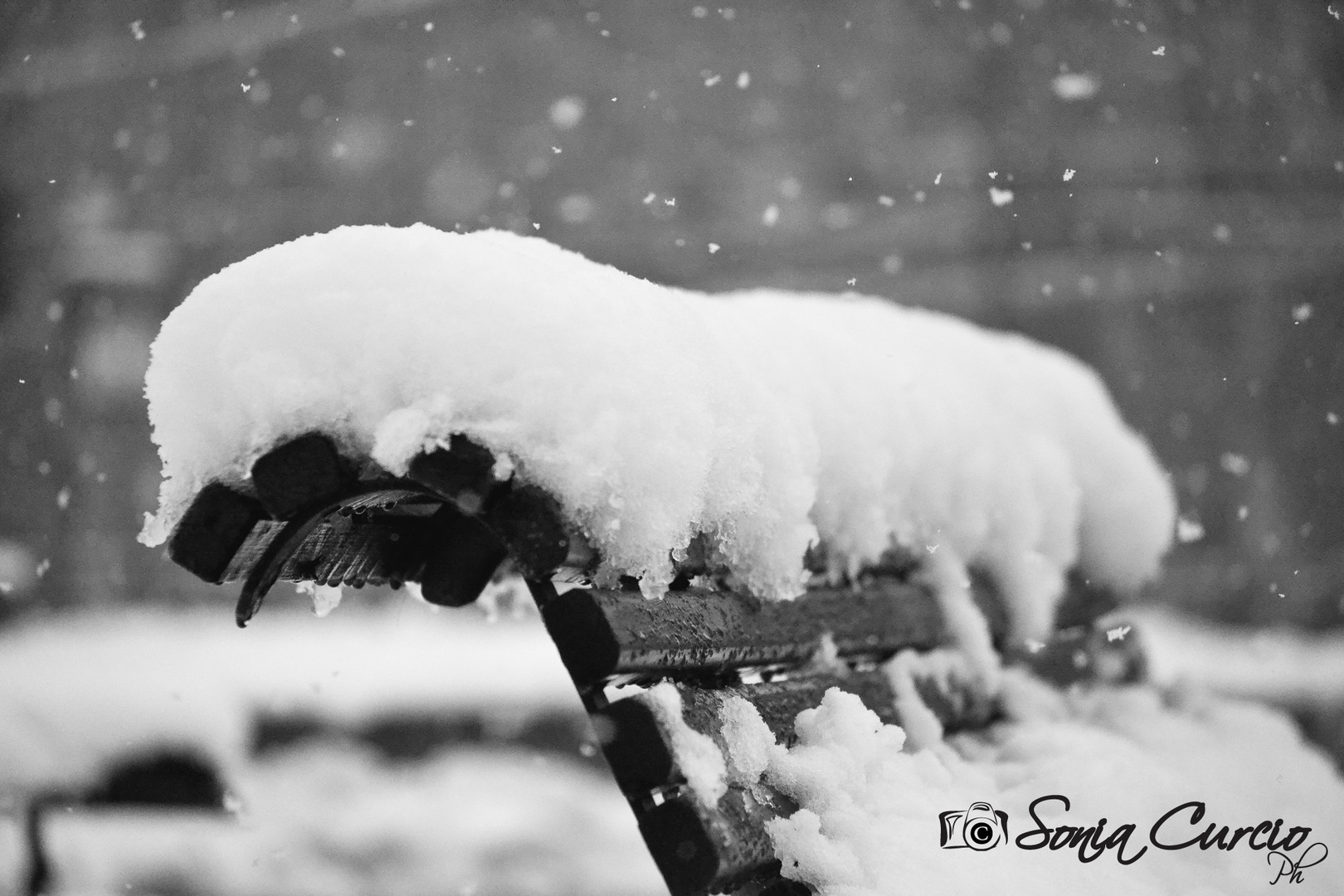 La magia di un fiocco di neve