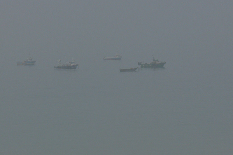 la magie de la brume matinale