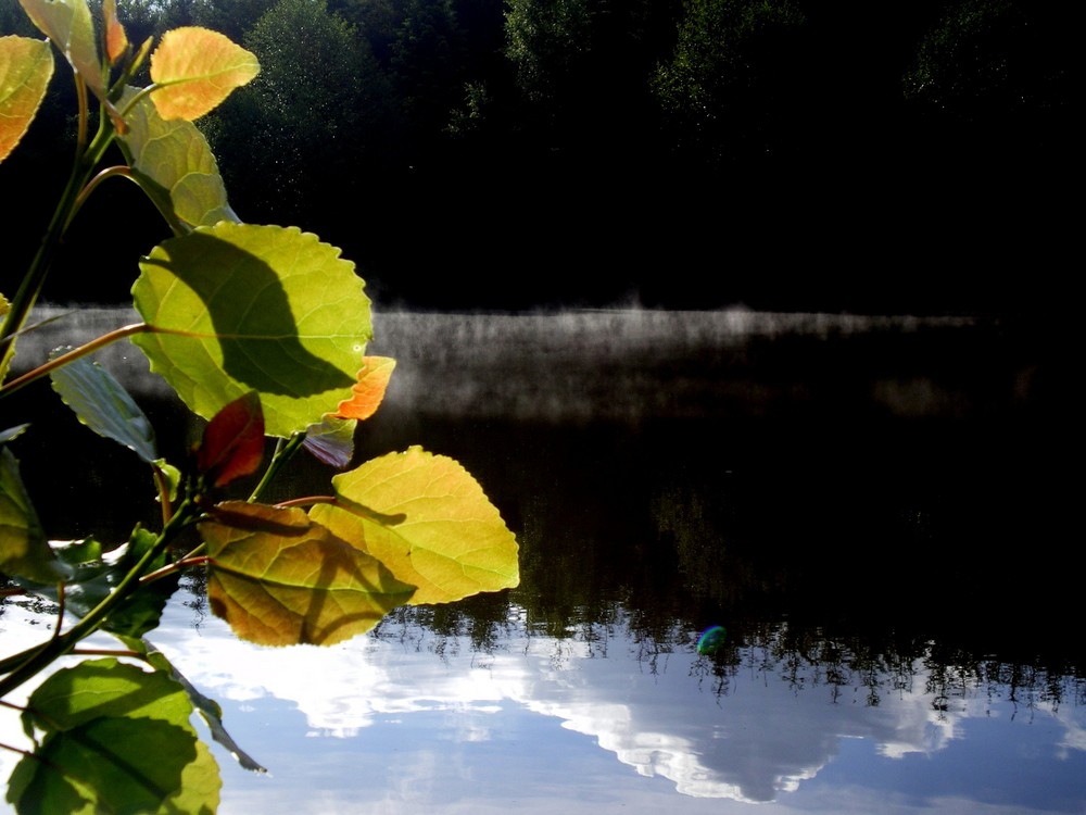 La magie de la nature