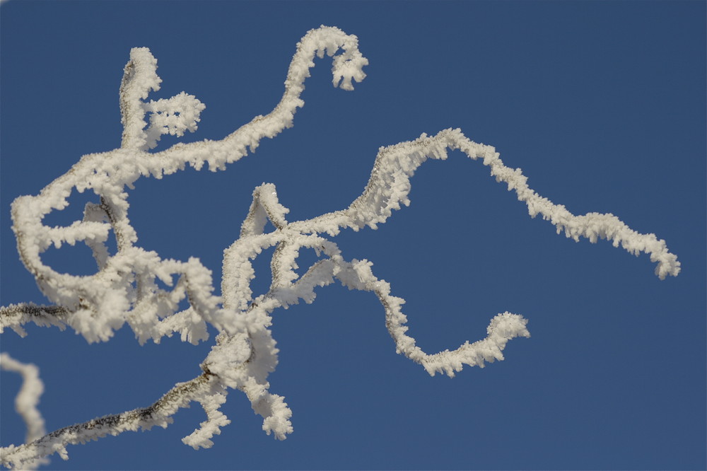 la magie de la neige