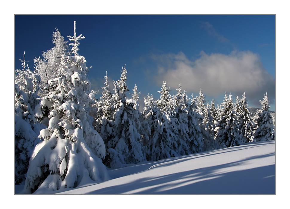 La magie de la neige