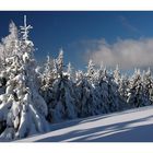 La magie de la neige