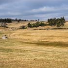 la magie de l'Aubrac