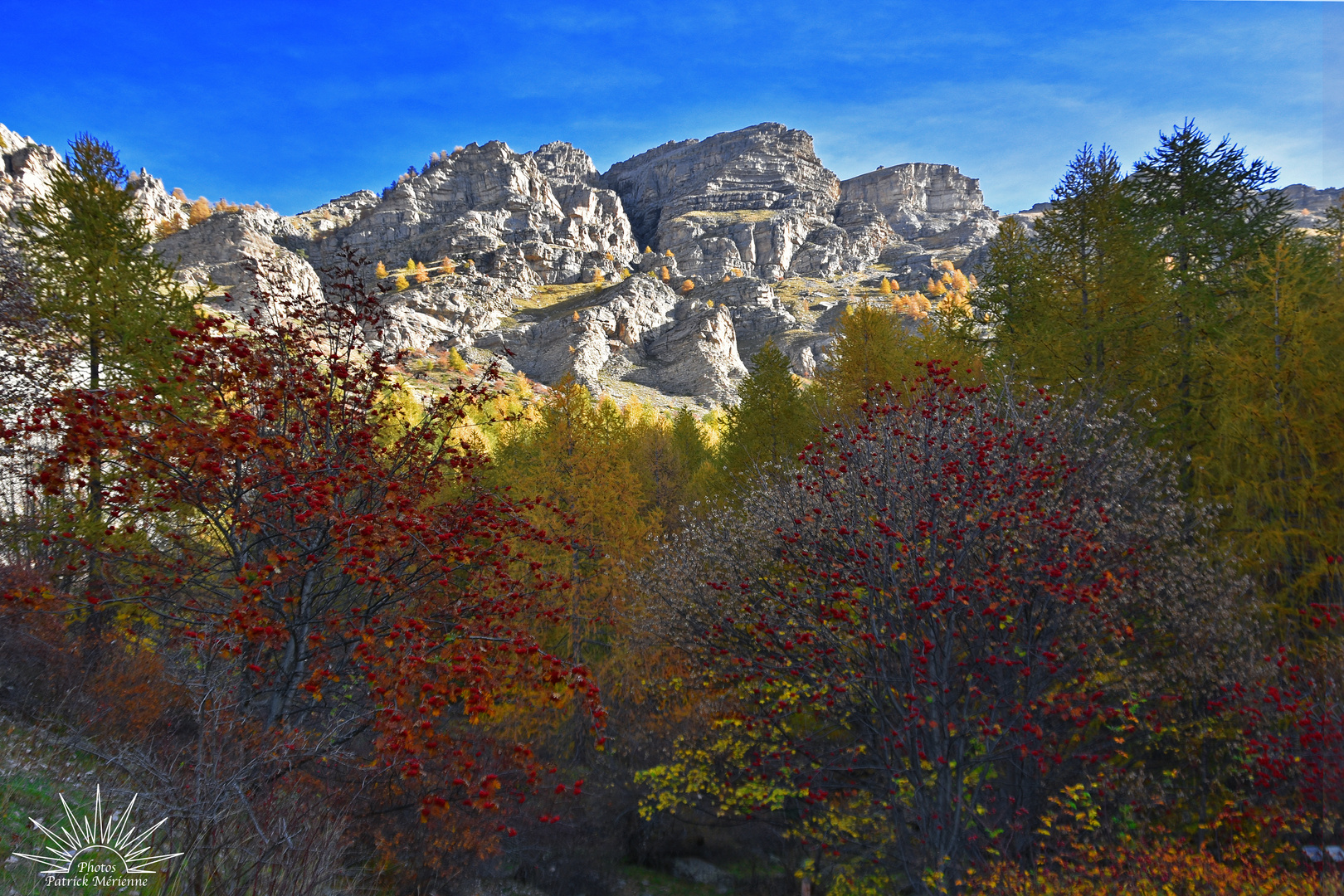 La magie de l'automne