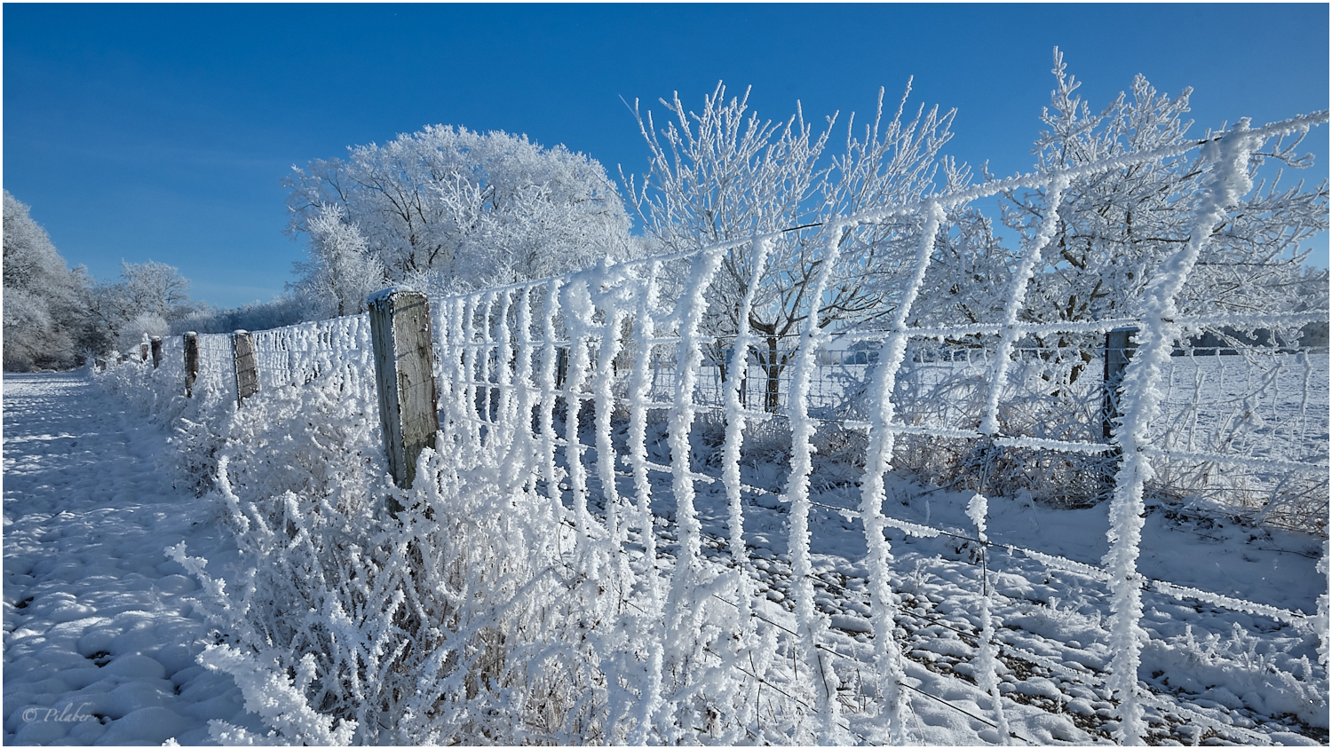 La magie de l'hiver 2