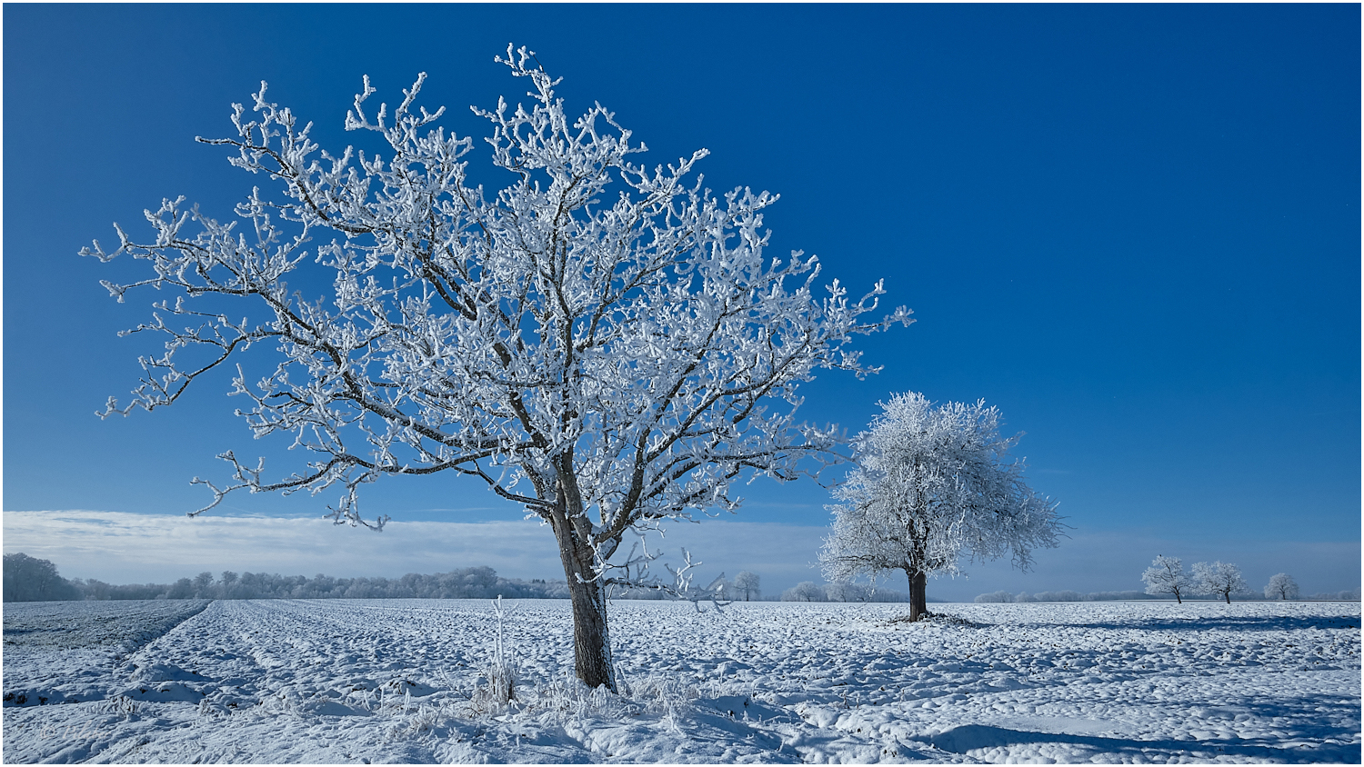 La magie de l'hiver 3