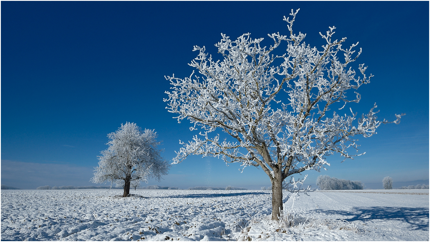 La magie de l'hiver 4 Foto & Bild