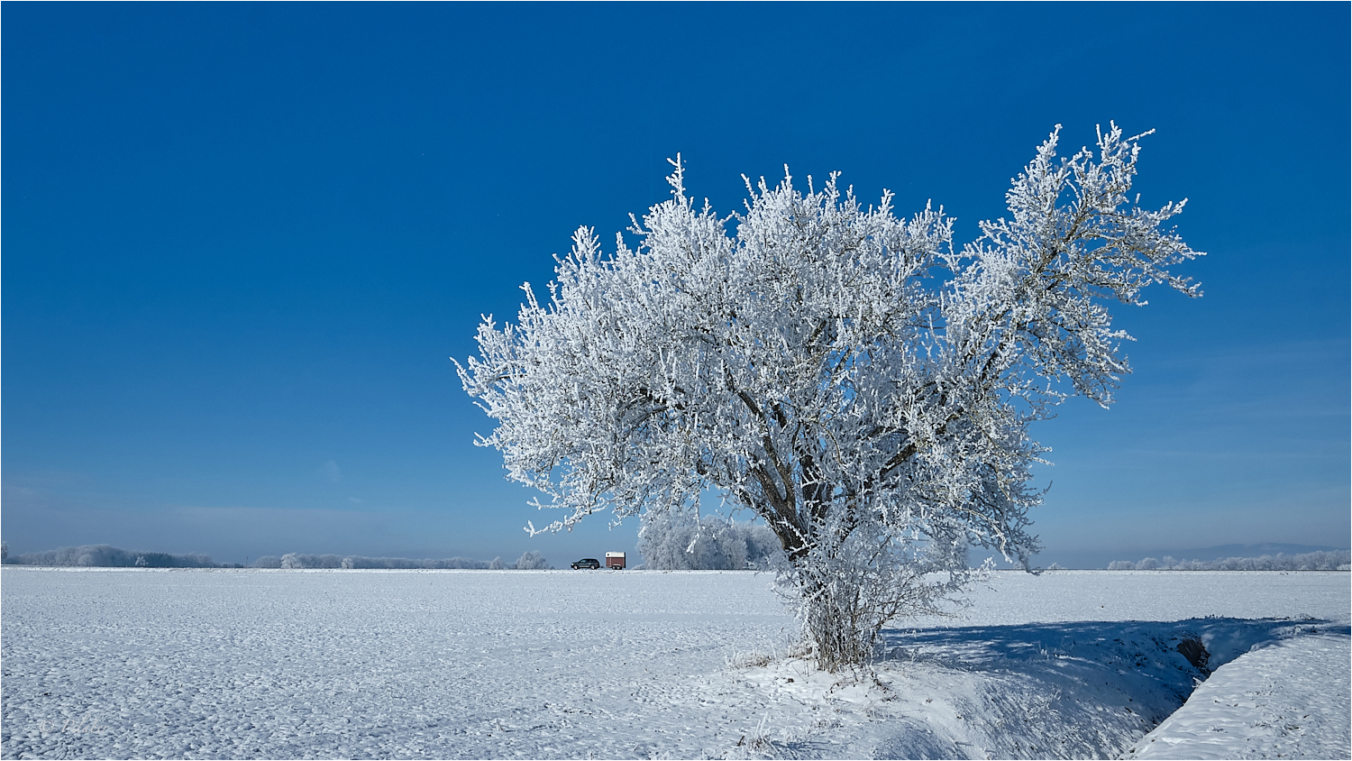 La magie de l'hiver 5 Foto & Bild