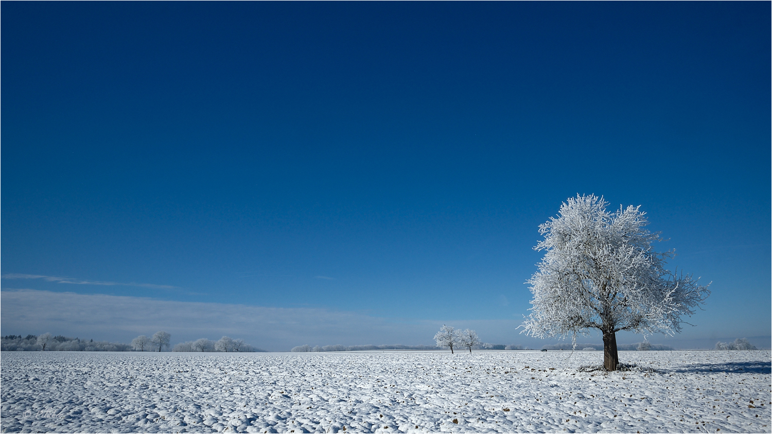 La magie de l'hiver 7